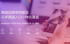 怎样实现企业开发网站的目的�?